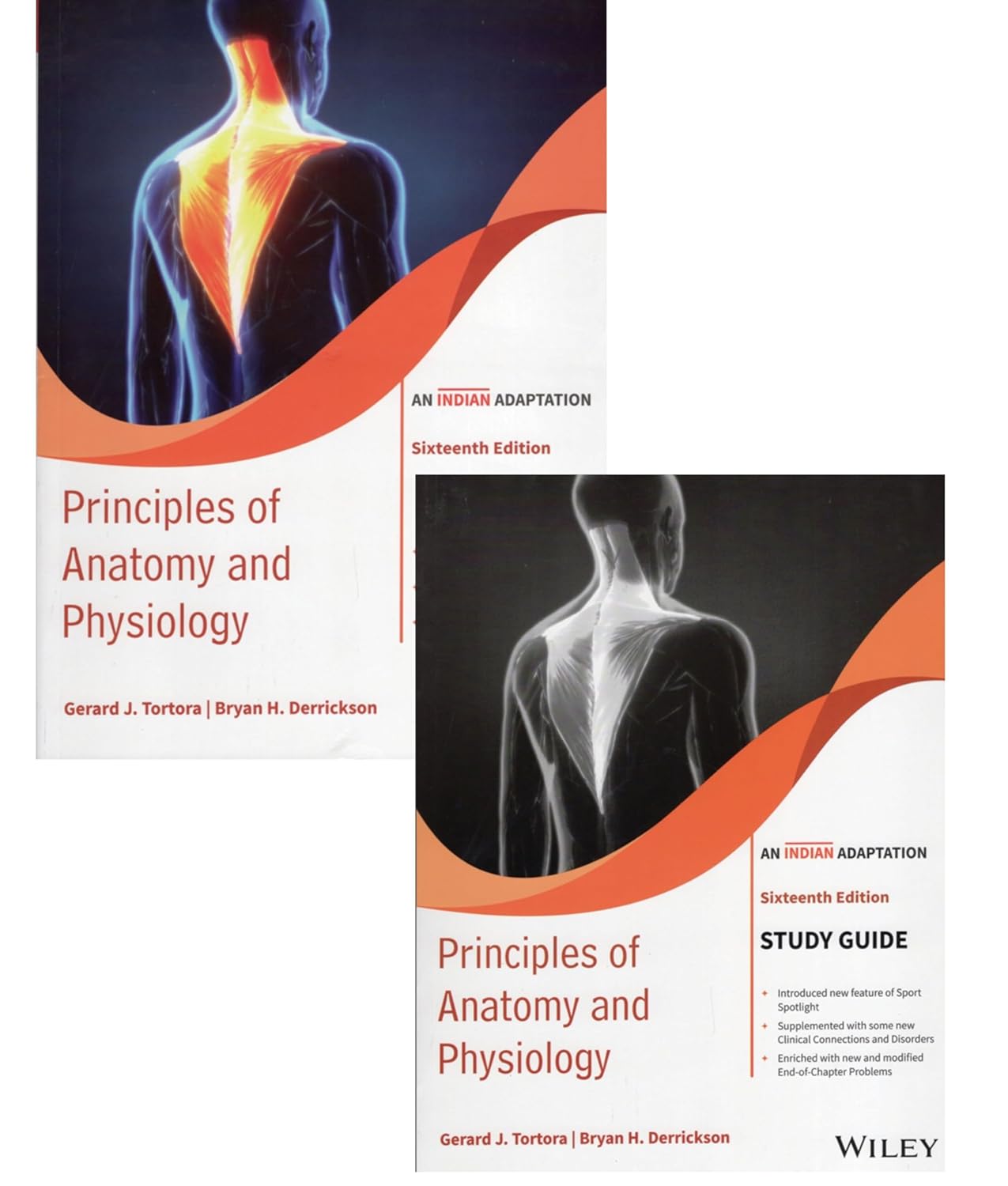 Cover of Principles of Anatomy and Physiology with Study Guide