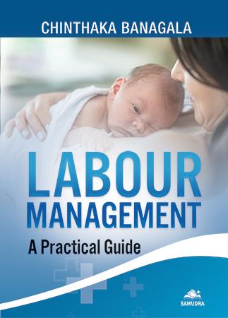 Cover of Labour Management: A Practical Guide