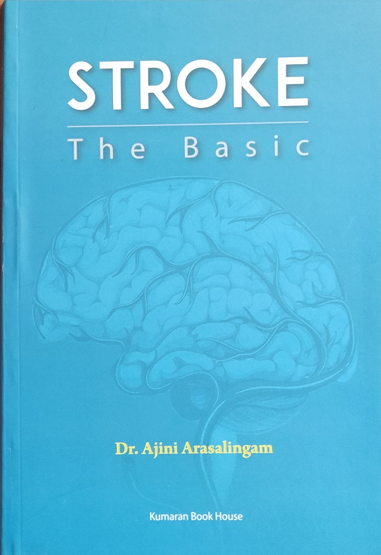 Cover of Stroke: The Basic