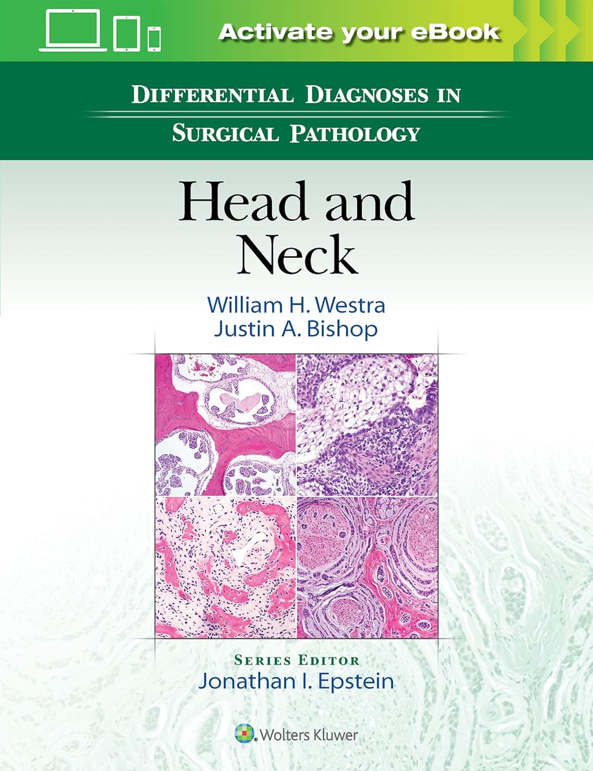 Cover of Differential Diagnoses in Surgical Pathology: Head and Neck